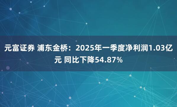 元富证券 浦东金桥：2025年一季度净利润1.03亿元 同比下降54.87%