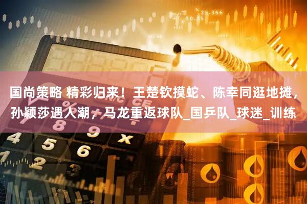 国尚策略 精彩归来！王楚钦摸蛇、陈幸同逛地摊，孙颖莎遇人潮，马龙重返球队_国乒队_球迷_训练