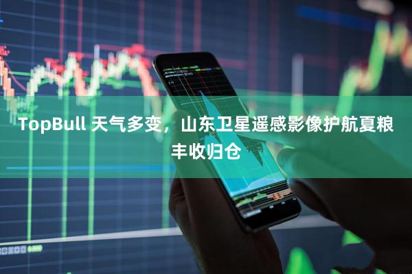 TopBull 天气多变，山东卫星遥感影像护航夏粮丰收归仓