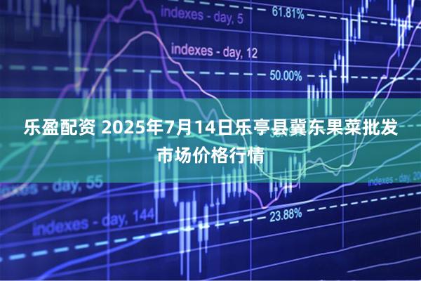 乐盈配资 2025年7月14日乐亭县冀东果菜批发市场价格行情
