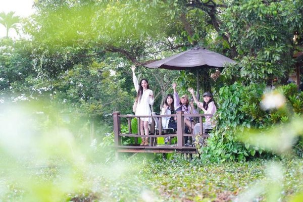 金牛股配资 走“环热”游雨林 全媒体采风“发现海南大不同”